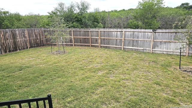 5930 Foster Bnd, San Antonio, TX 78244 - view of yard