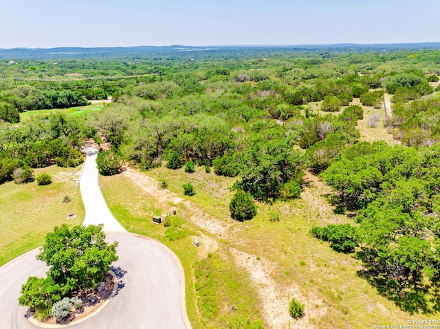 1107 Montecito Ln, Bulverde, TX 78163