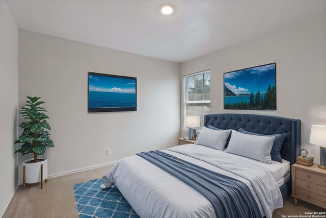 1011 Cat Mesa, San Antonio, TX 78251 - carpeted bedroom featuring baseboards