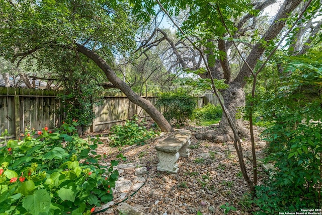 15314 Artesian Oaks, San Antonio, TX 78232 - view of fenced backyard