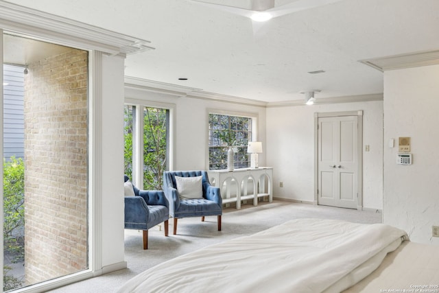 209 Chichester Pl Unit 1, San Antonio, TX 78209 - carpeted bedroom with crown molding