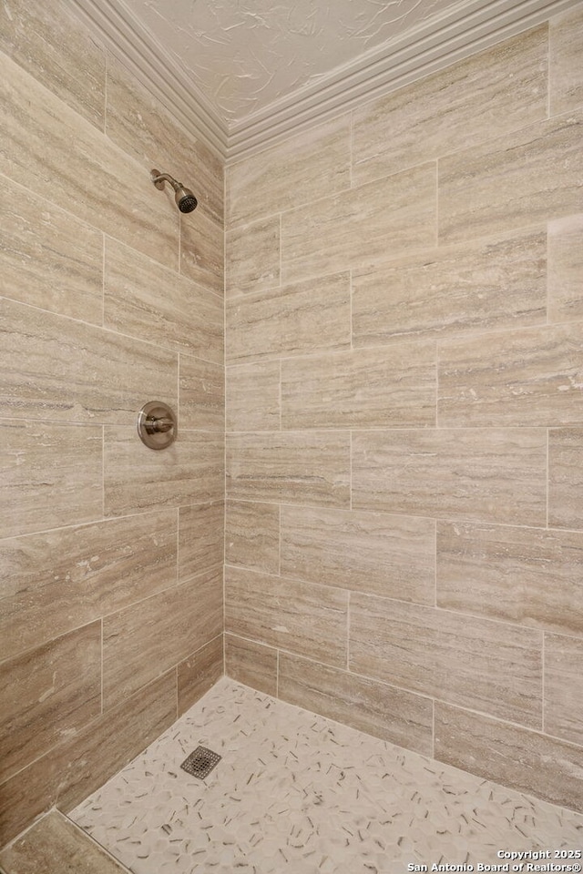 209 Chichester Pl Unit 1, San Antonio, TX 78209 - bathroom with tiled shower