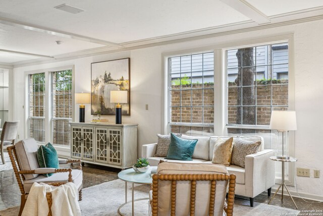 209 Chichester Pl Unit 1, San Antonio, TX 78209 - living room with ornamental molding and baseboards