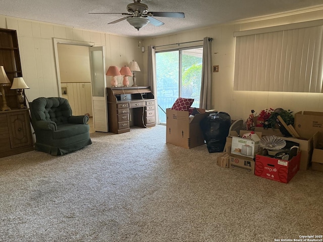 254 W Greenway Ave, San Antonio, TX 78226 - living area with a textured ceiling, ceiling fan, and carpet floors