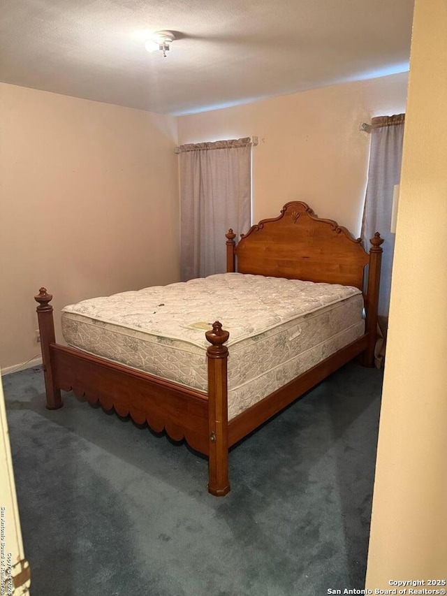 254 W Greenway Ave, San Antonio, TX 78226 - bedroom with carpet