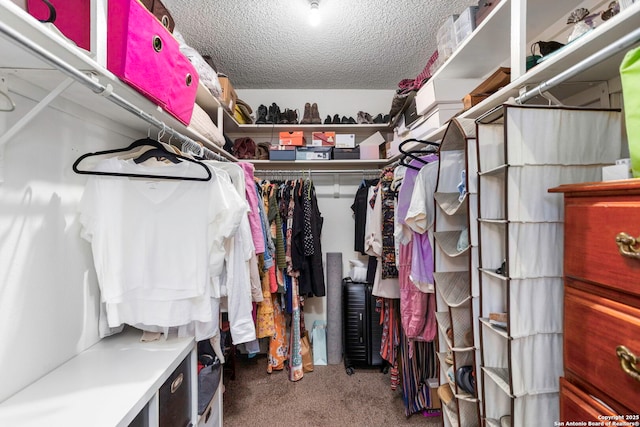 7738 Chambers Unit 612, San Antonio, TX 78229 - walk in closet with carpet floors