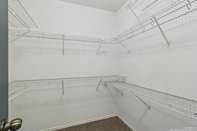 87 Kenrock Rdg, San Antonio, TX 78254 - spacious closet featuring carpet floors