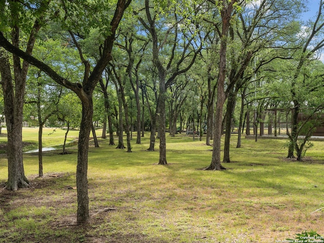 16 Cheshire, San Antonio, TX 78218 - view of grassy yard