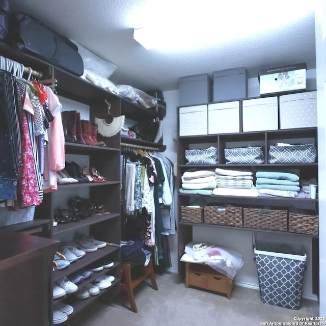 12115 Redbud Leaf, San Antonio, TX 78253 - walk in closet with carpet