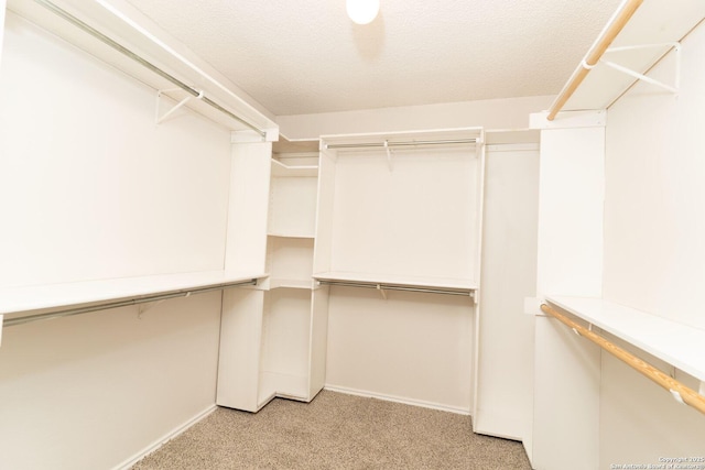 10322 Fork Crk, San Antonio, TX 78245 - spacious closet featuring light carpet