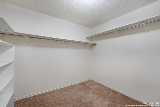 9503 Marshall Pt, San Antonio, TX 78240 - spacious closet featuring carpet floors