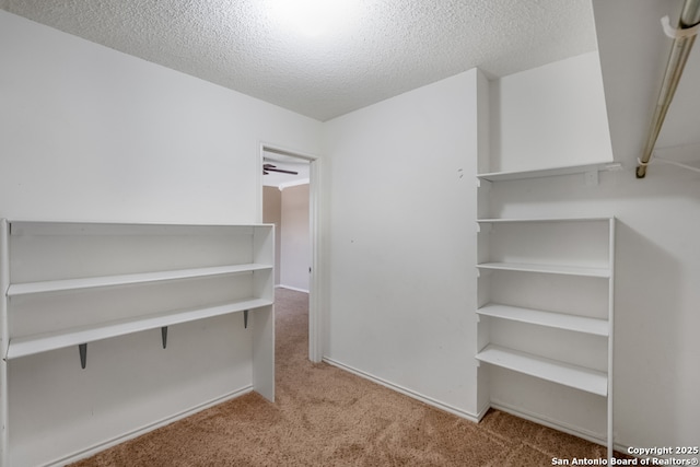 9503 Marshall Pt, San Antonio, TX 78240 - walk in closet with carpet floors