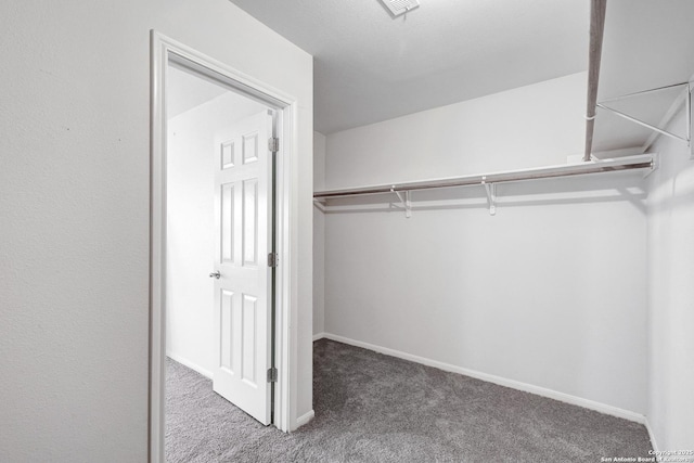 4451 Taylors Bnd, San Antonio, TX 78247 - walk in closet with carpet flooring