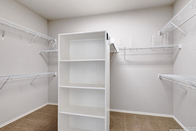 25511 Willard Path, San Antonio, TX 78261 - spacious closet featuring carpet floors
