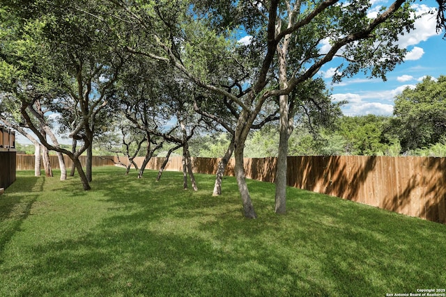 25511 Willard Path, San Antonio, TX 78261 - view of yard
