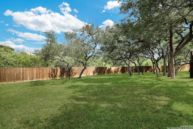 25511 Willard Path, San Antonio, TX 78261 - view of yard