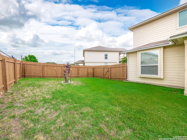 775 Guna Dr, New Braunfels, TX 78130 - view of yard