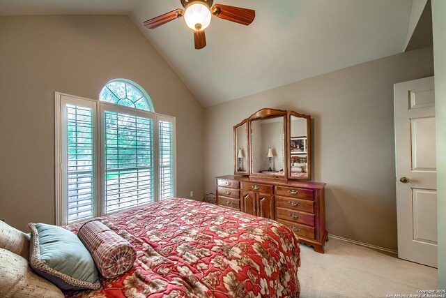 2443 Rim Oak, San Antonio, TX 78232