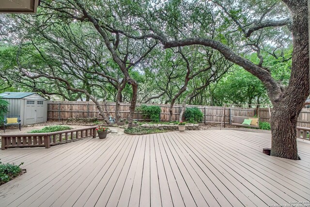 2443 Rim Oak, San Antonio, TX 78232