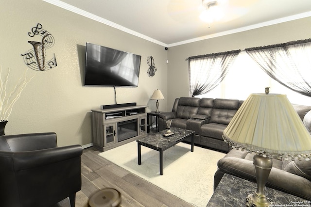 3322 Dunlap Flds, Converse, TX 78109 - living area with wood finished floors, crown molding, and baseboards