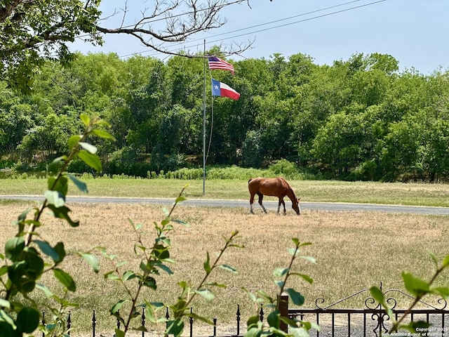 10745 Rosemar Ln, Adkins, TX 78101 - view of property's community