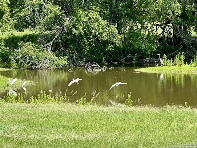 10745 Rosemar Ln, Adkins, TX 78101 - water view