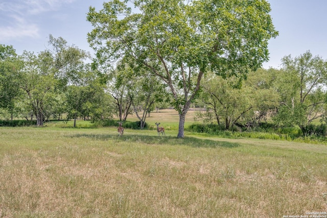 10745 Rosemar Ln, Adkins, TX 78101 - view of yard