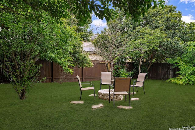 102 Blue Thorn, San Antonio, TX 78256 - view of yard