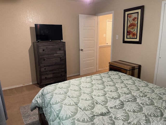 9858 Menard Cir, San Antonio, TX 78245 - bedroom with carpet flooring