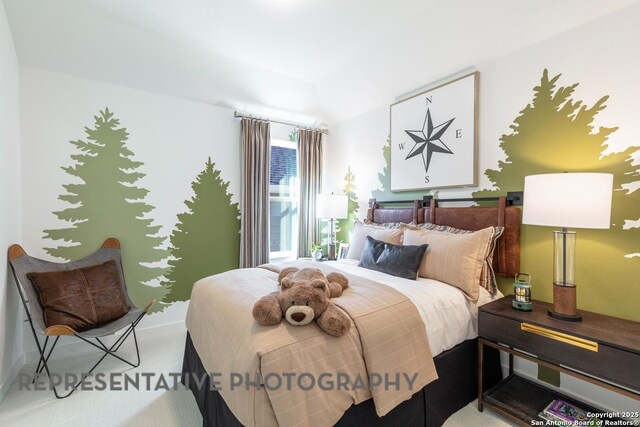 12376 Goulding, San Antonio, TX 78254 - view of carpeted bedroom