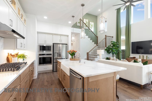 12376 Goulding, San Antonio, TX 78254 - kitchen featuring stainless steel appliances, a sink, range hood, dark wood-style floors, and open floor plan