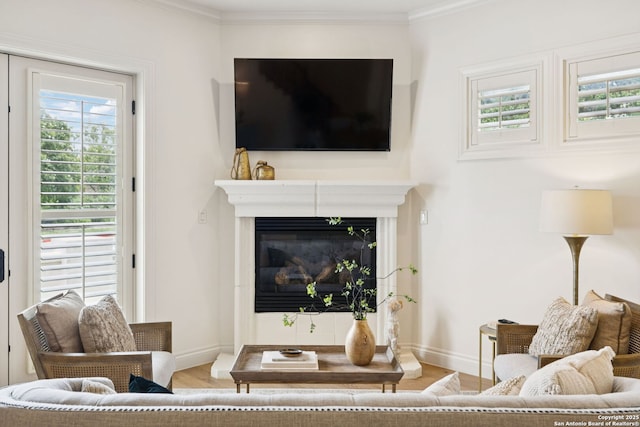 172 Katherine Ct Unit 1, San Antonio, TX 78209 - living room featuring wood finished floors, ornamental molding, baseboards, and a glass covered fireplace