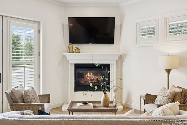 172 Katherine Ct Unit 1, San Antonio, TX 78209 - living room featuring wood finished floors, crown molding, baseboards, and a glass covered fireplace