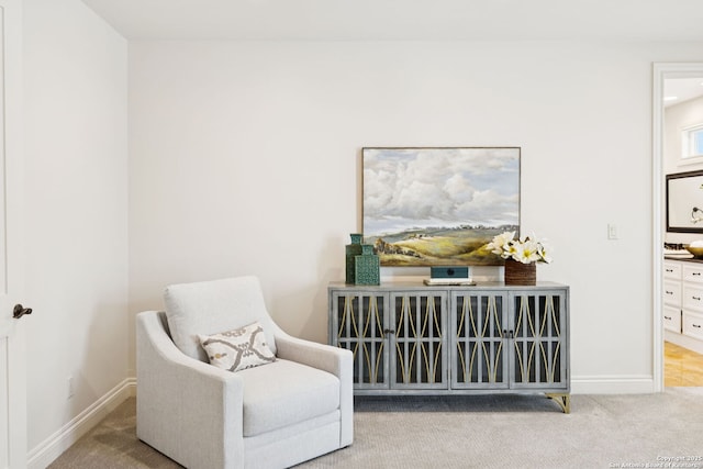 172 Katherine Ct Unit 1, San Antonio, TX 78209 - sitting room featuring baseboards and carpet flooring