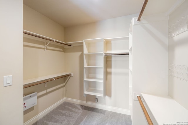 172 Katherine Ct Unit 1, San Antonio, TX 78209 - walk in closet with carpet flooring
