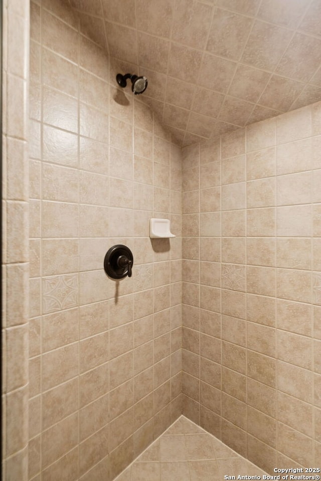 172 Katherine Ct Unit 1, San Antonio, TX 78209 - full bathroom featuring tiled shower