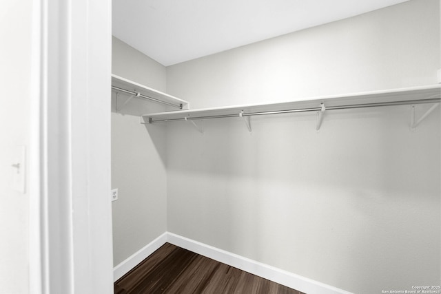 15831 Colton Wl, San Antonio, TX 78247 - walk in closet with dark wood-type flooring