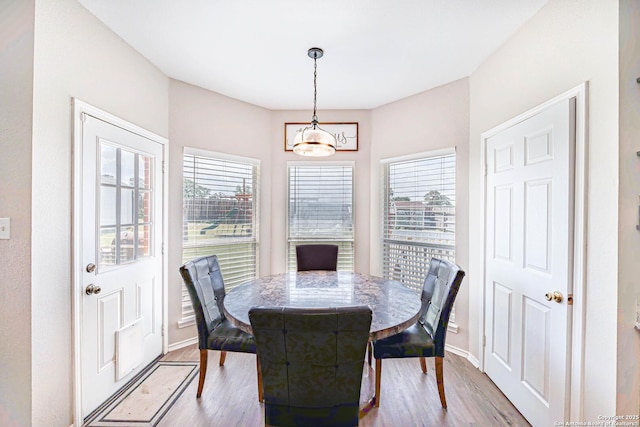 132 Las Palomas Ln, Vernia, TX 78121 - dining room with plenty of natural light, wood finished floors, and baseboards