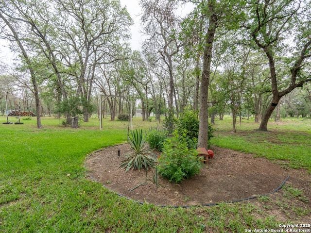120 Spanish Oak Trl, Floresville, TX 78114 - view of green lawn