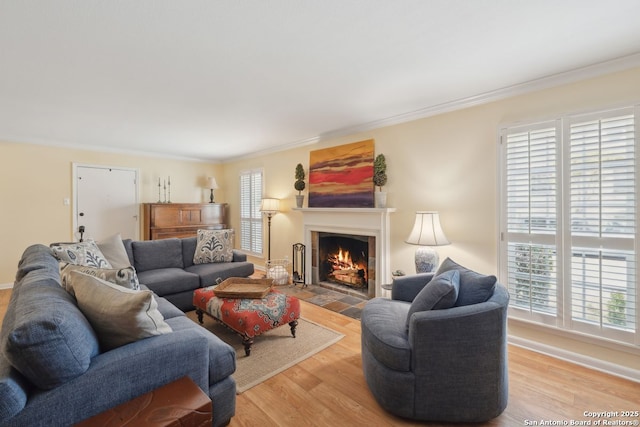 107-A Ruelle Unit 107-A, San Antonio, TX 78209 - living area featuring ornamental molding, a fireplace with flush hearth, light wood finished floors, and baseboards