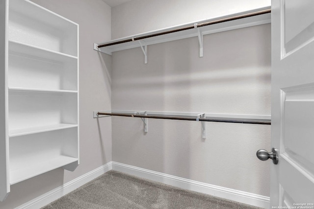 6538 Scooby Acres, San Antonio, TX 78108 - walk in closet featuring carpet floors