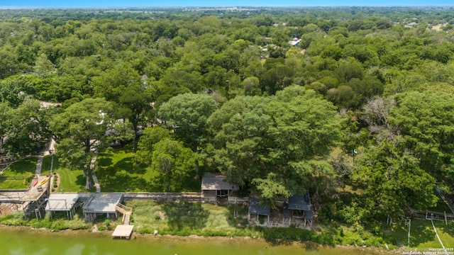 123 Serene Creek Ln, Mcqueeney, TX 78123 - aerial view of a forest and a nearby body of water