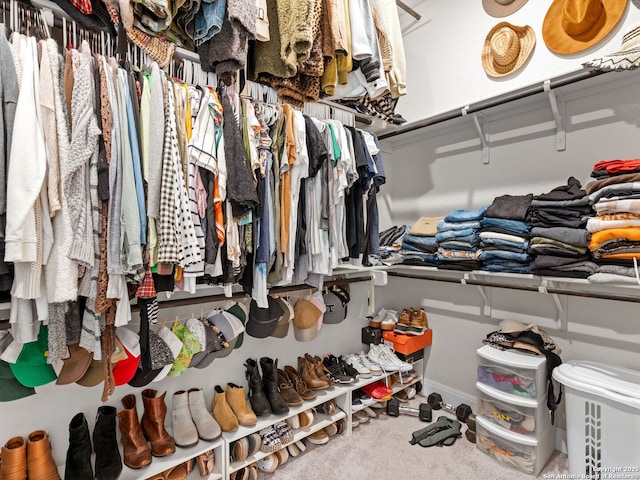 4508 River Rock, Marion, TX 78124 - spacious closet featuring carpet floors