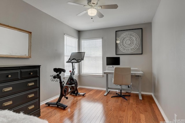 6039 Woodway Ct, San Antonio, TX 78249 - home office featuring light wood-style flooring, a ceiling fan, and baseboards