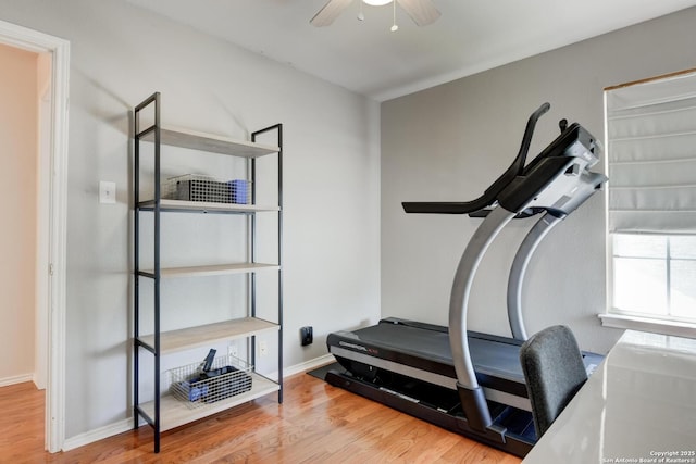 6039 Woodway Ct, San Antonio, TX 78249 - workout room with wood finished floors, a ceiling fan, and baseboards