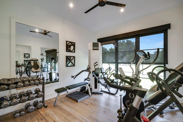 121 Greystone Pt, Boerne, TX 78006 - exercise room featuring ceiling fan and wood finished floors