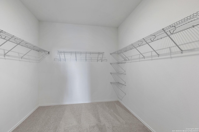 847 Bluegrass Pt, New Braunfels, TX 78130 - spacious closet featuring carpet flooring
