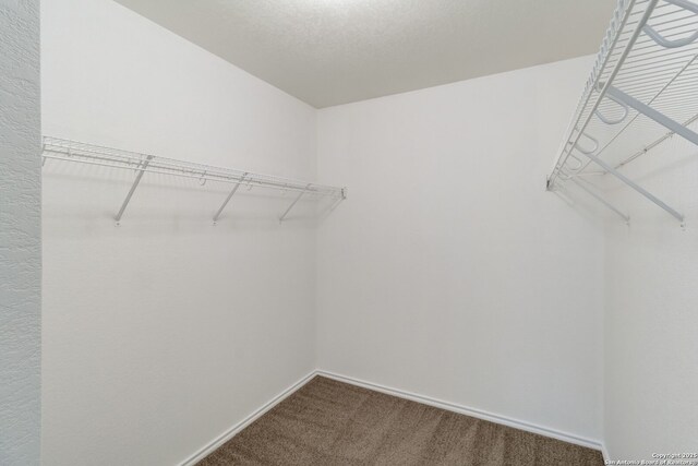 9423 Maraval Crk, San Antonio, TX 78245 - walk in closet with carpet flooring