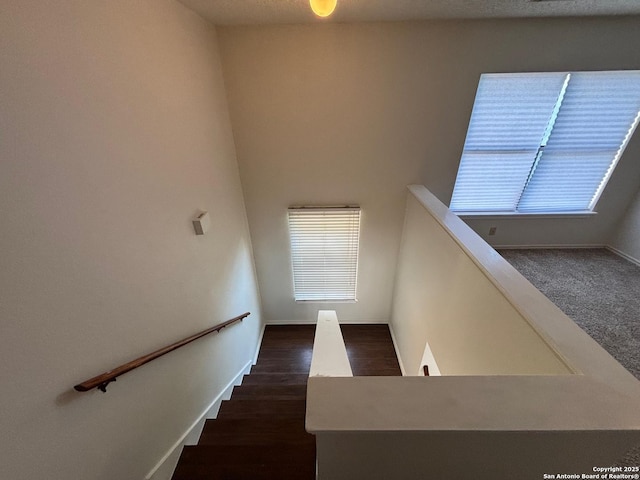 7835 Ruby Mdw, San Antonio, TX 78251 - stairway with baseboards