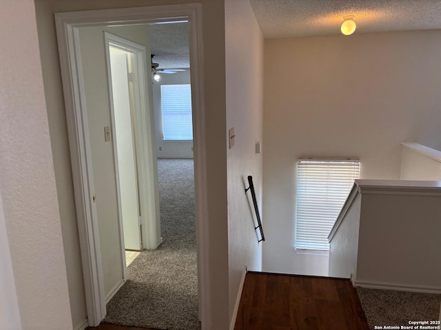 7835 Ruby Mdw, San Antonio, TX 78251 - hallway with an upstairs landing, carpet floors, a textured ceiling, and baseboards